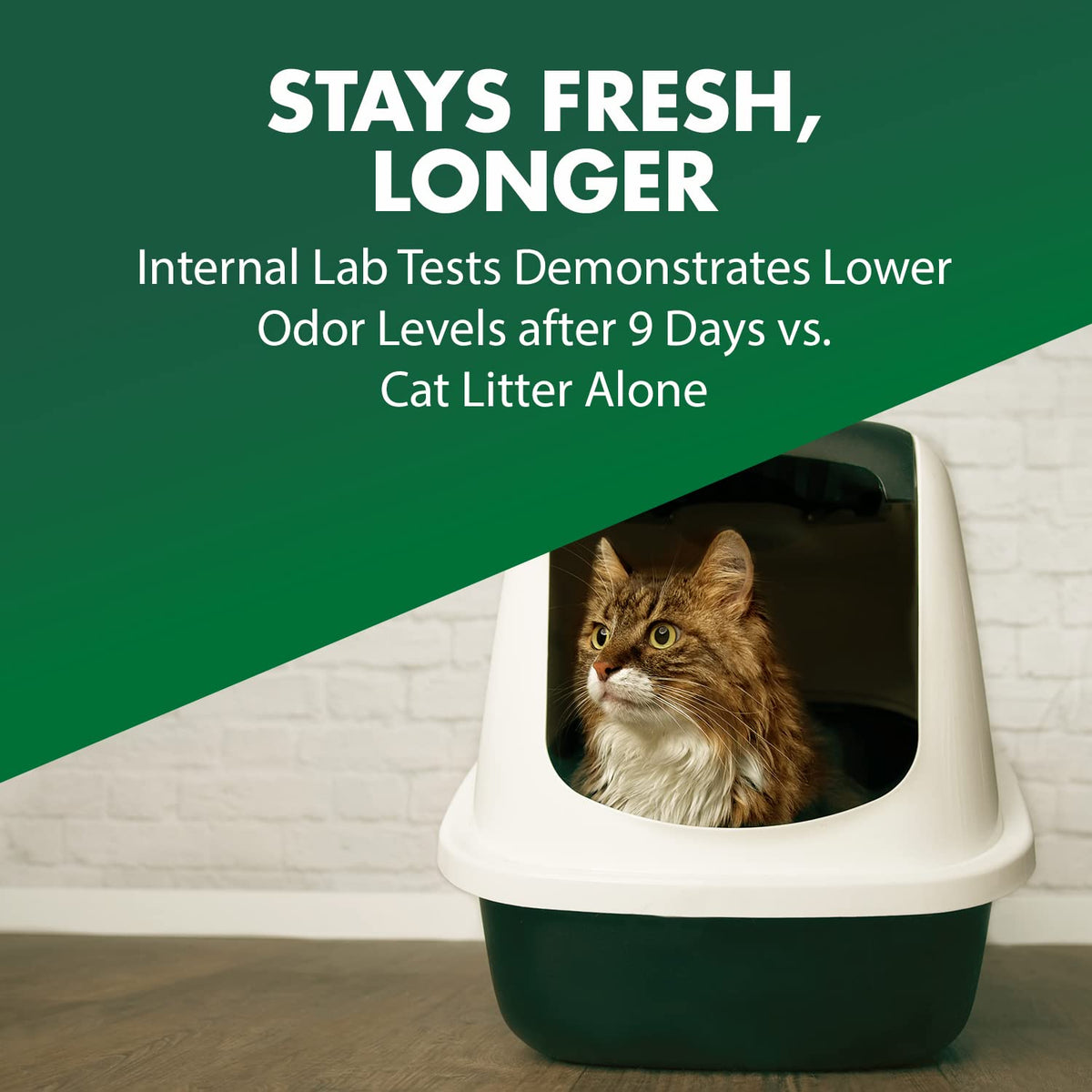 Cat Litter Deodorizer 20 Oz V4950