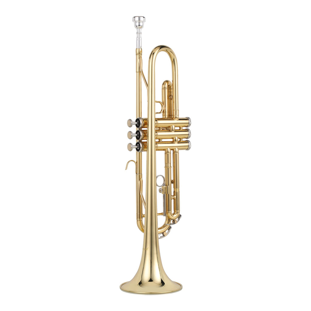 Gold Trumpet with Case, 7C Mouthpiece and Cleaning Kit L577