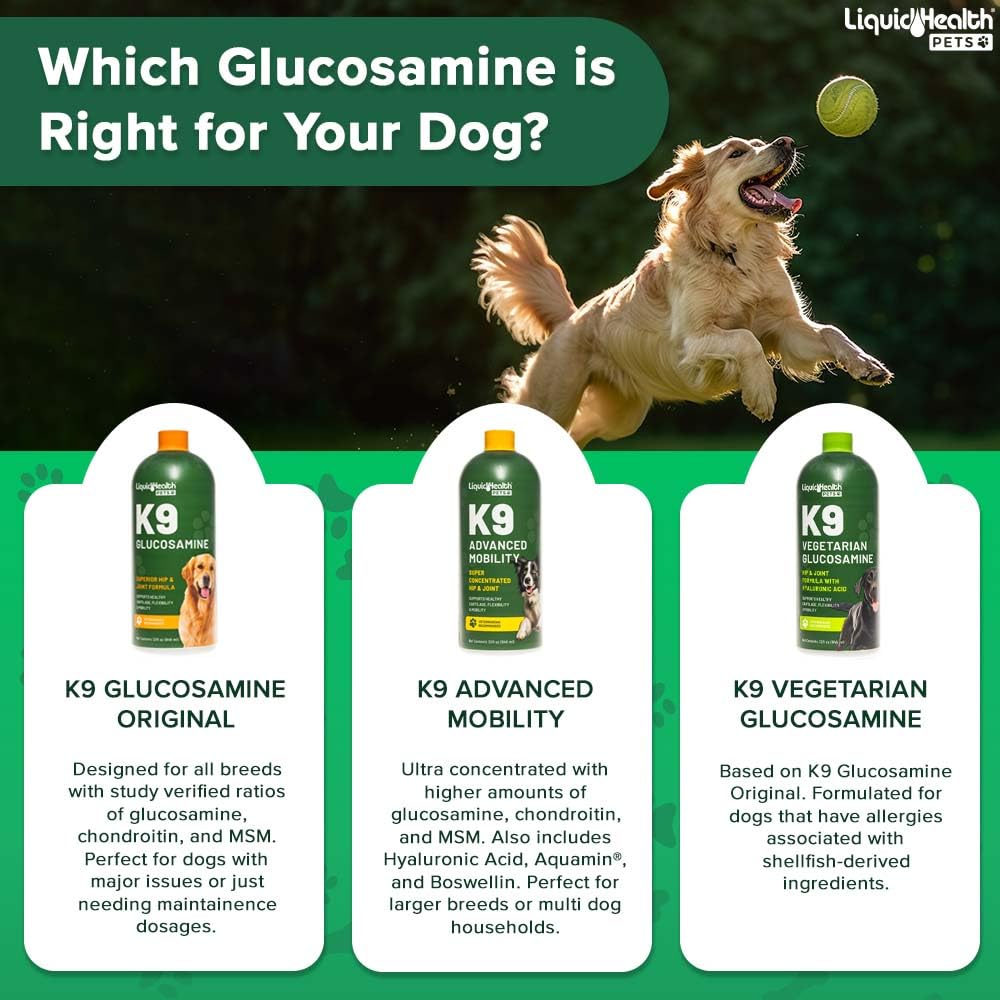 Liquid Glucosamine for Dogs with Chondroitin MSM Hyaluronic Acid 2 Pack L6722