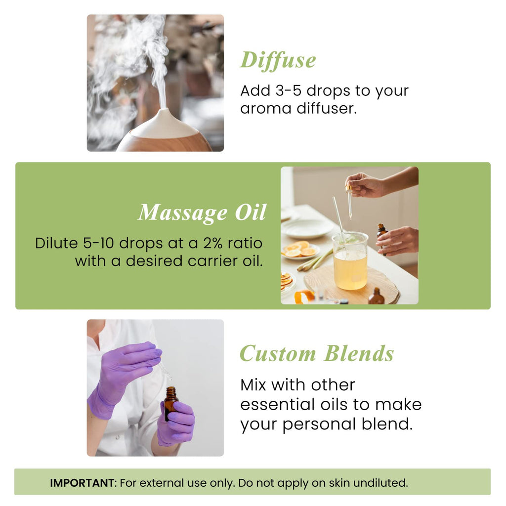 Peppermint and Lavender Essential Oils Set 2 x 4 Fl Oz B124169