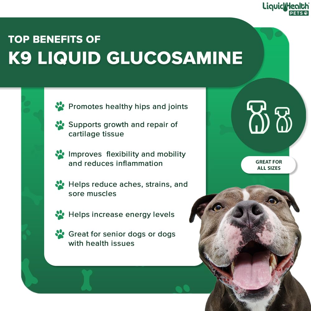 Liquid Glucosamine for Dogs with Chondroitin MSM Hyaluronic Acid 2 Pack L6722
