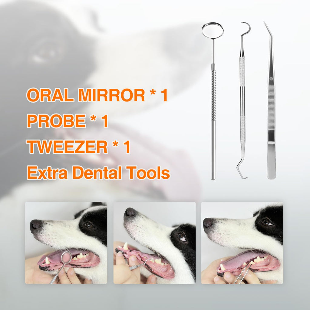 Ultrasonic Dog Plaque Remover with LED Light Y68925