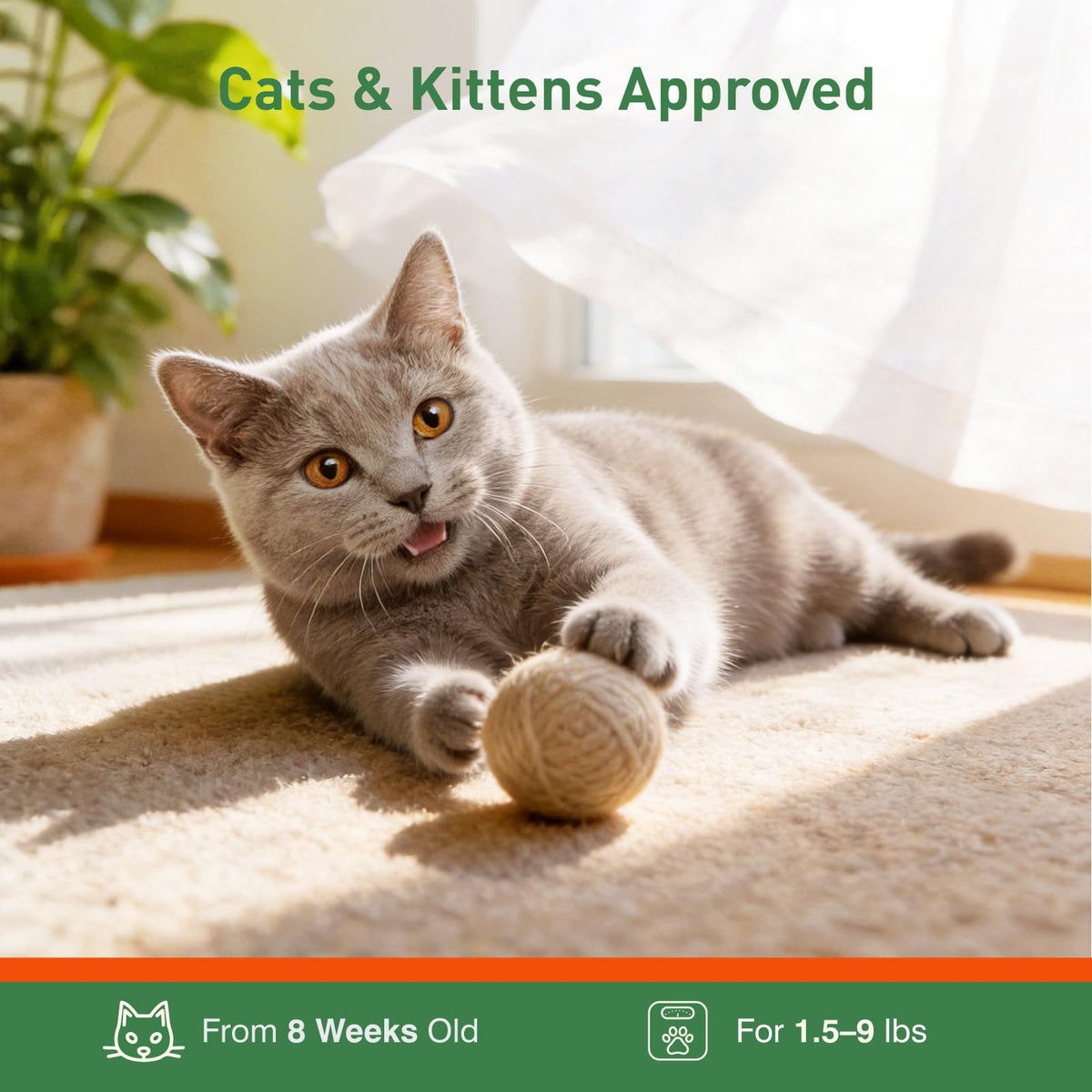 6 Pack Flea and Tick Prevention for Cats U6268