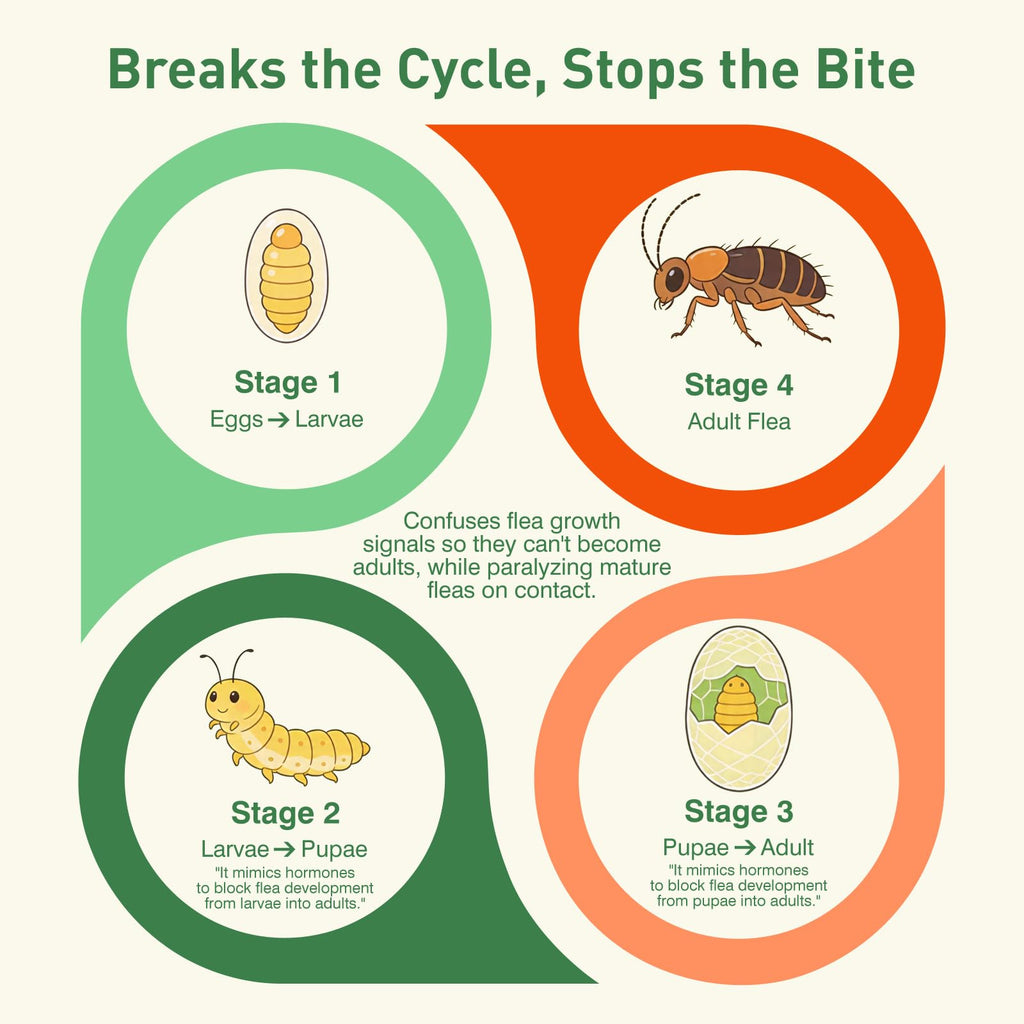 6 Pack Flea and Tick Prevention for Cats U6268
