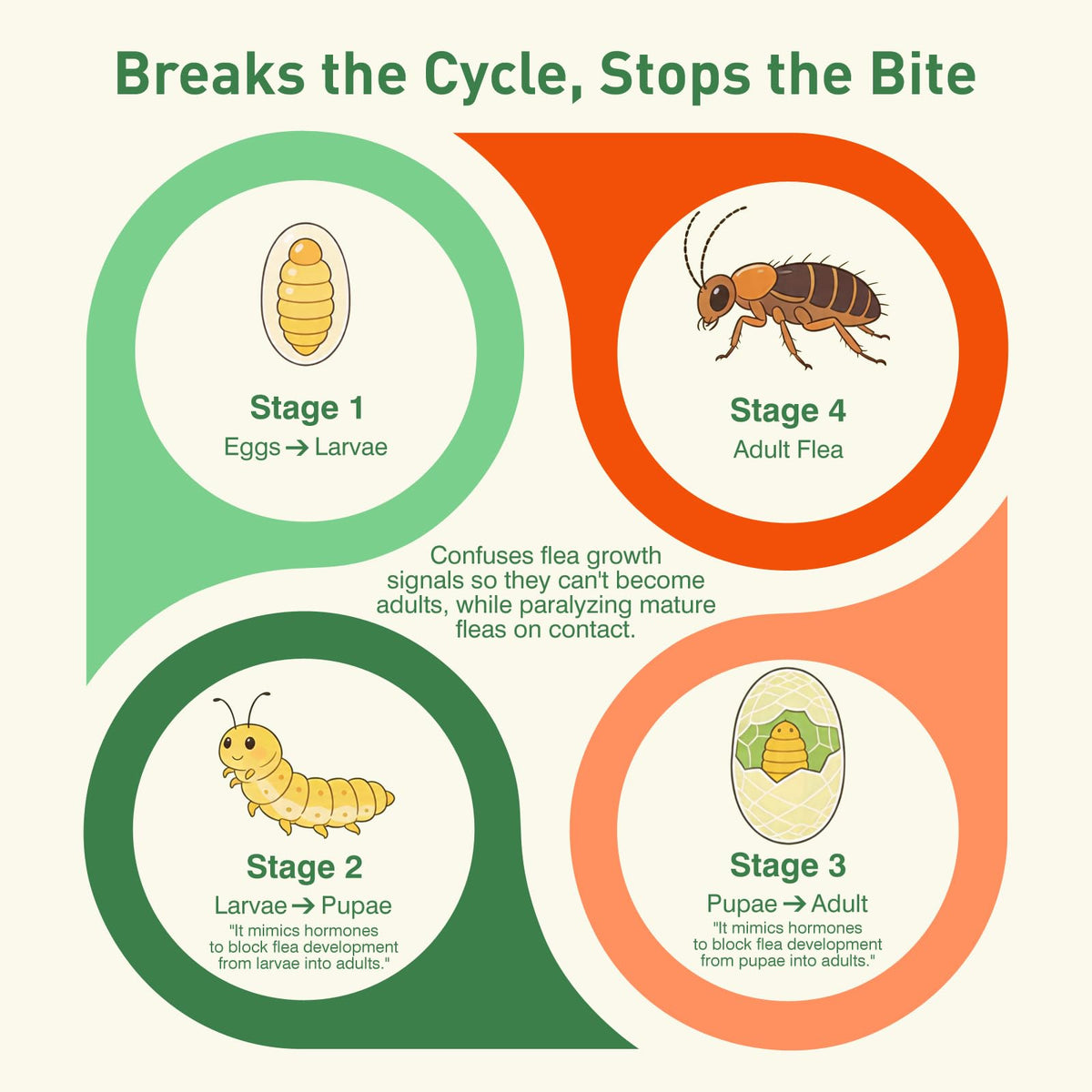 6 Pack Flea and Tick Prevention for Cats U6268