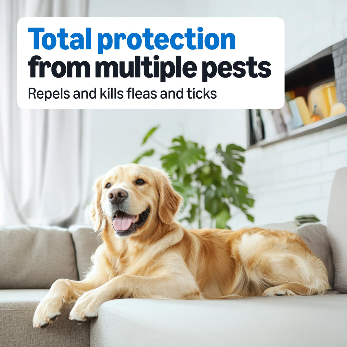 Flea and Tick Topical Treatment for Medium Dogs 3 Count E626436
