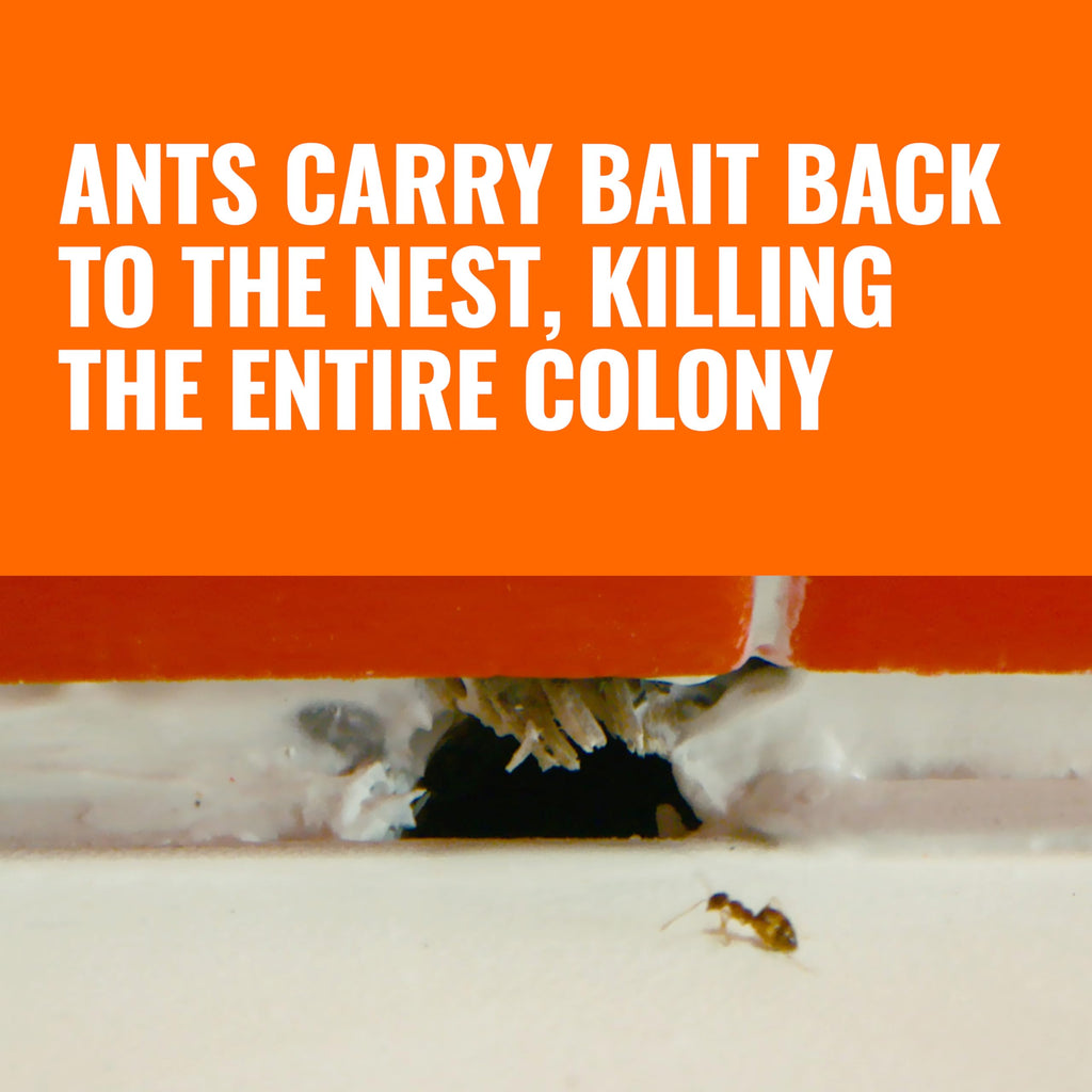 Liquid Ant Killer Bait Stations 12-Pack N9968