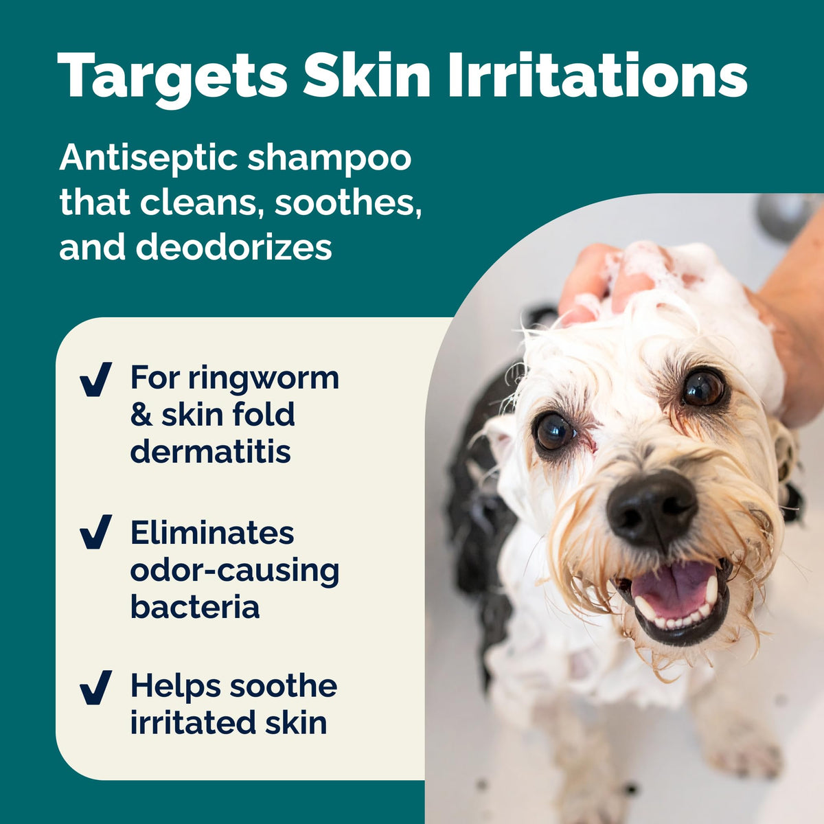 Medicated Cat & Dog Shampoo E37128