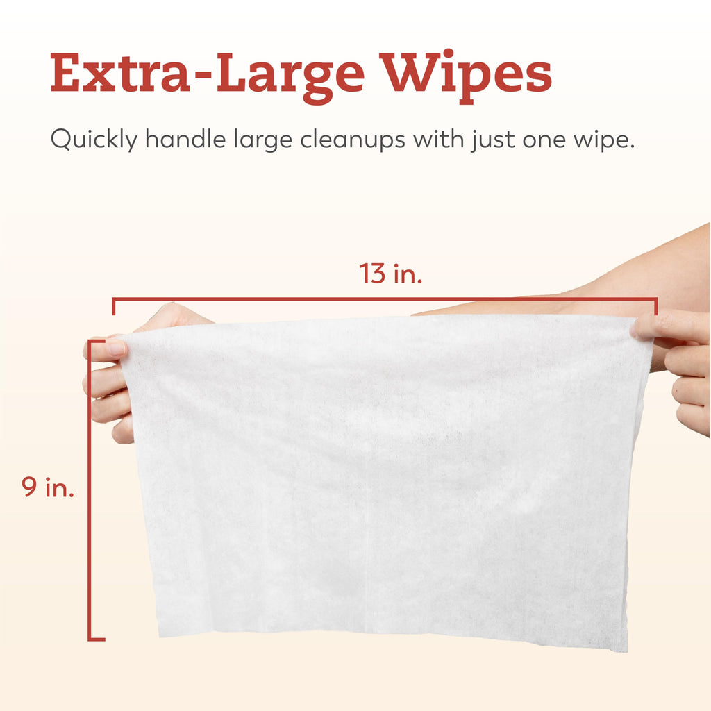 Large Briefs Multi-Pack with Cleansing Wipes P963