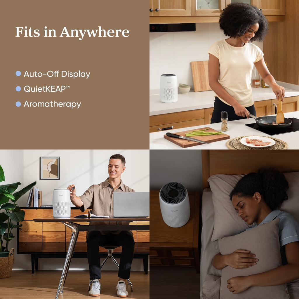 Air Purifiers R737