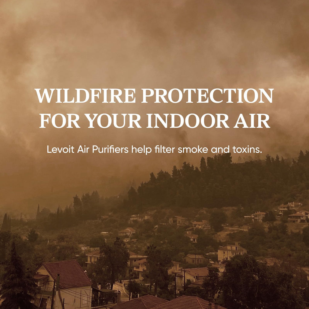 Air Purifiers R737