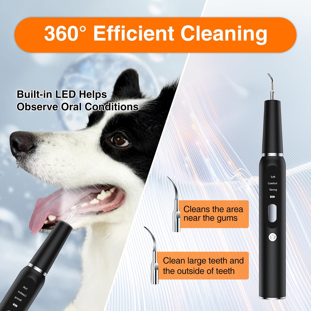 Ultrasonic Dog Plaque Remover with LED Light Y68925
