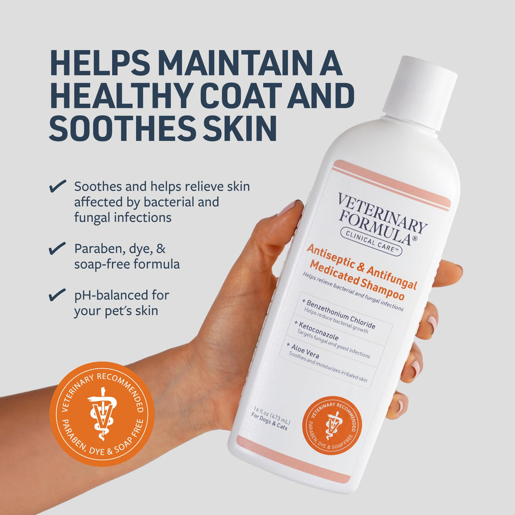 Antiseptic & Antifungal Shampoo, 16 oz Q68555