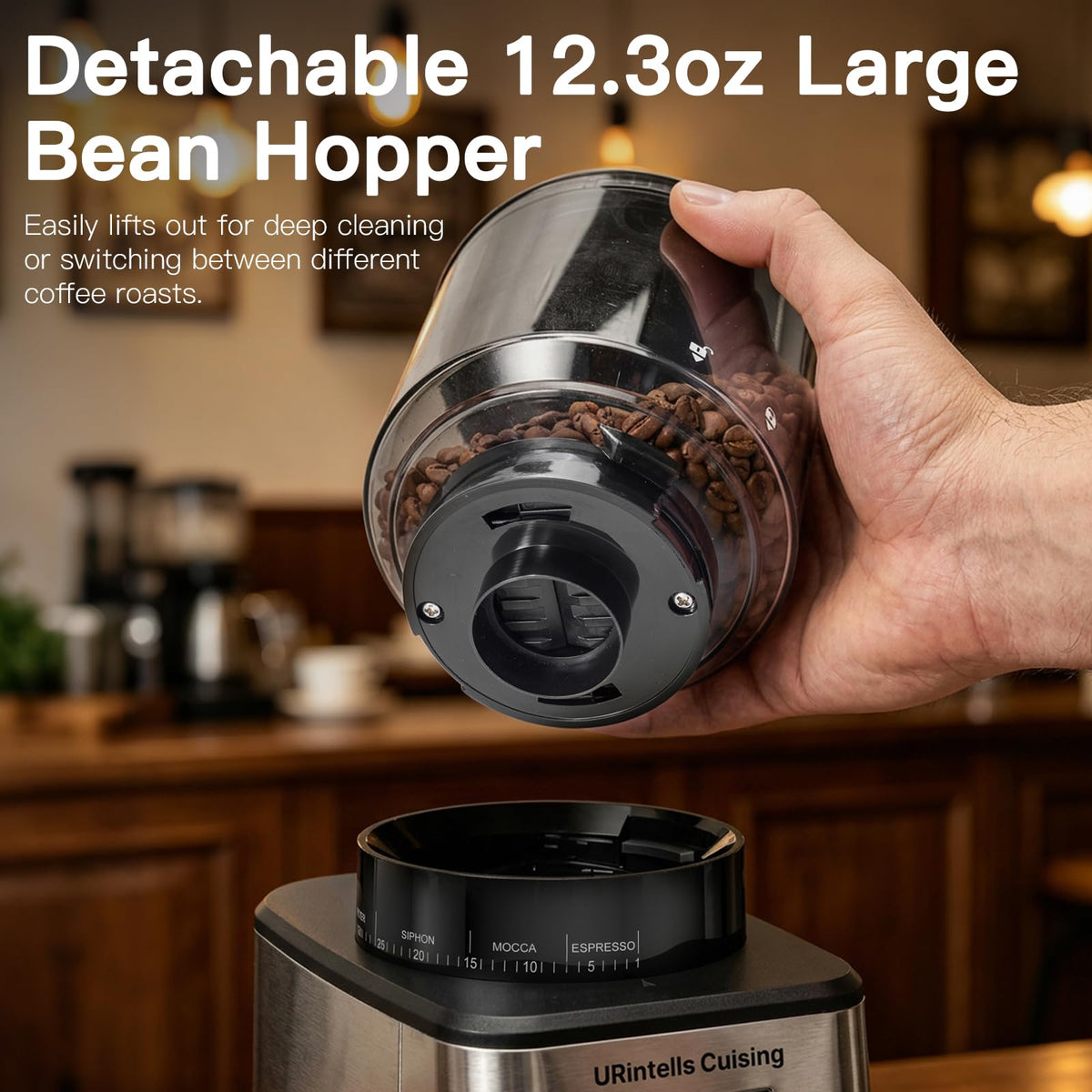 Silver Conical Burr Coffee Grinder N760