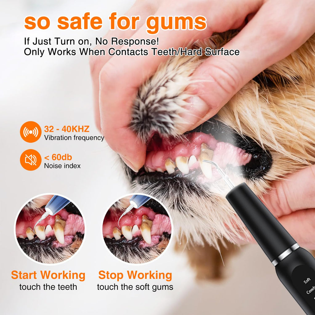 Ultrasonic Dog Plaque Remover with LED Light Y68925