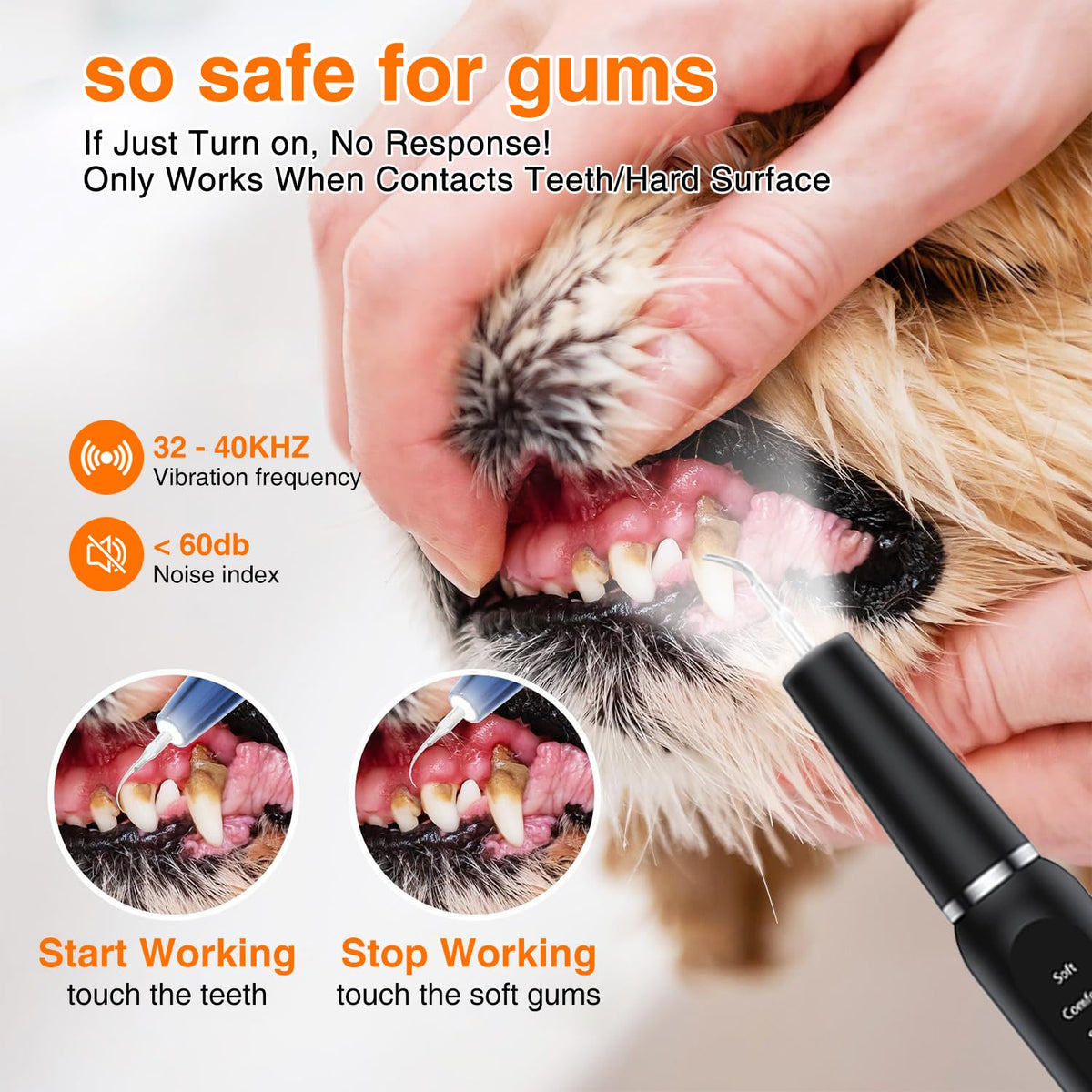 Ultrasonic Dog Plaque Remover with LED Light Y68925