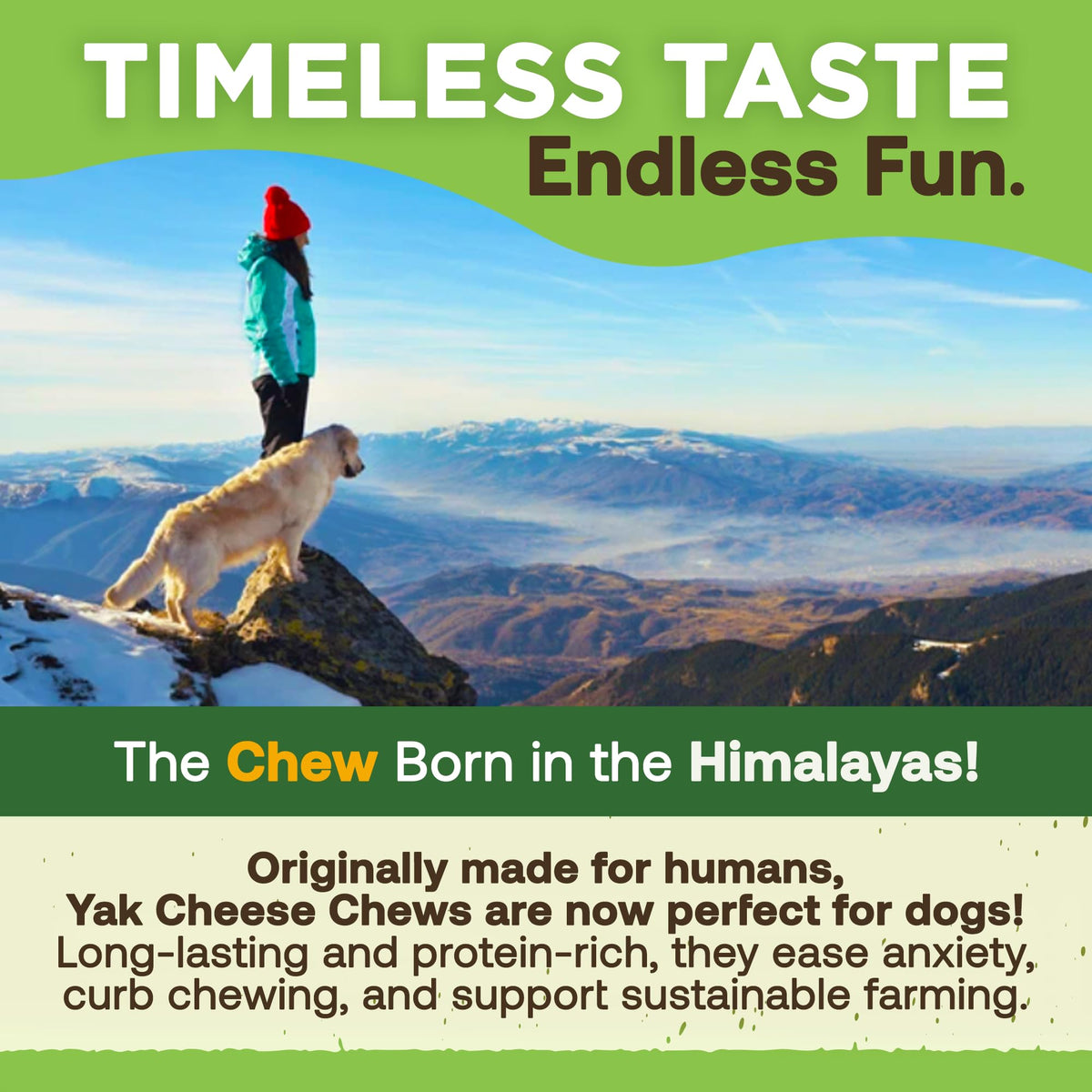 Yak Cheese Dog Chews O4191