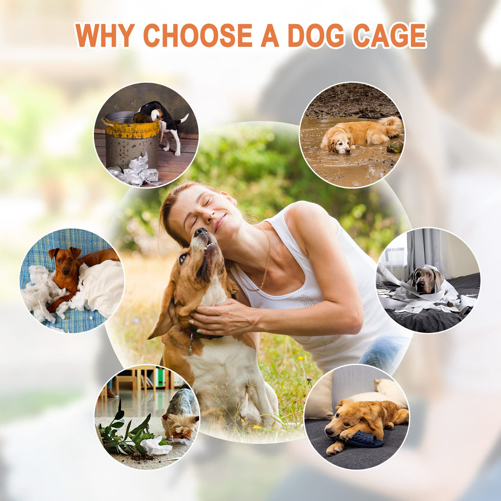 Double Door Folding Metal Wire Dog Crate with Tray F7867