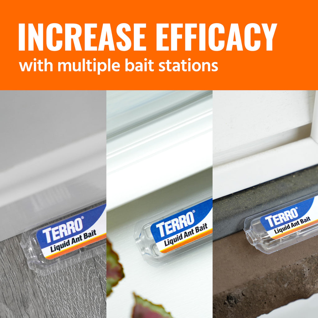 Liquid Ant Killer Bait Stations 12-Pack N9968