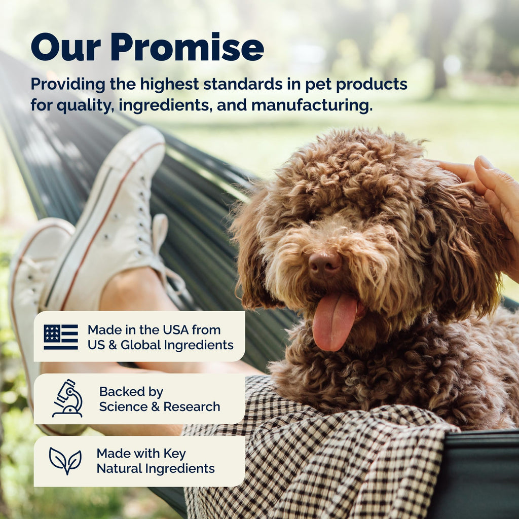 Medicated Cat & Dog Shampoo E37128