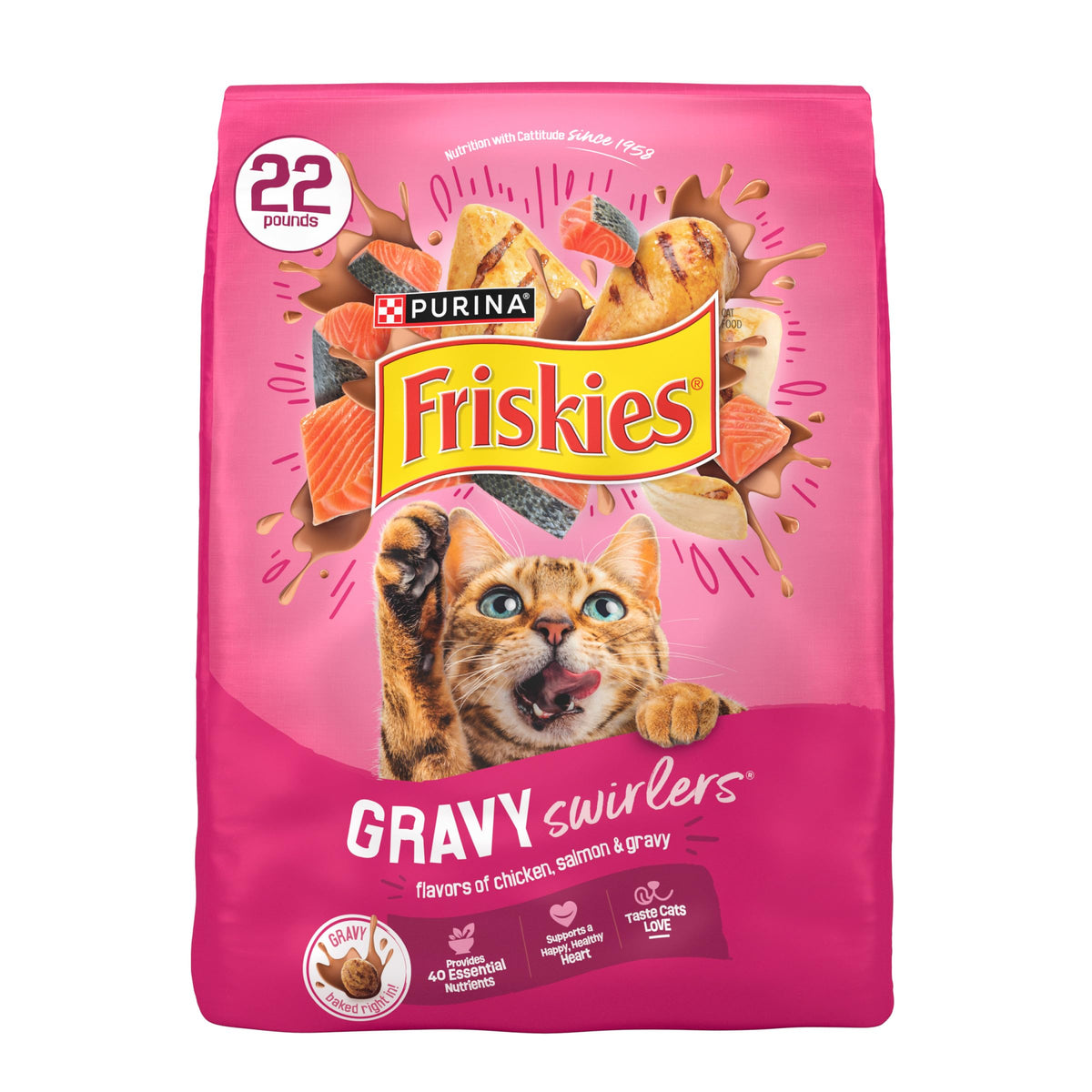 Dry Cat Food, Chicken & Salmon, 22 lb Bag M288972