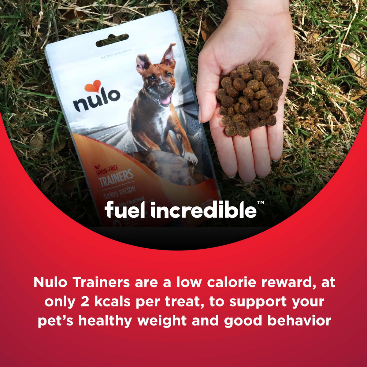 Turkey Recipe Grain-Free Low-Calorie Dog & Puppy Training Treats, 16 Ounce Pouch L878933