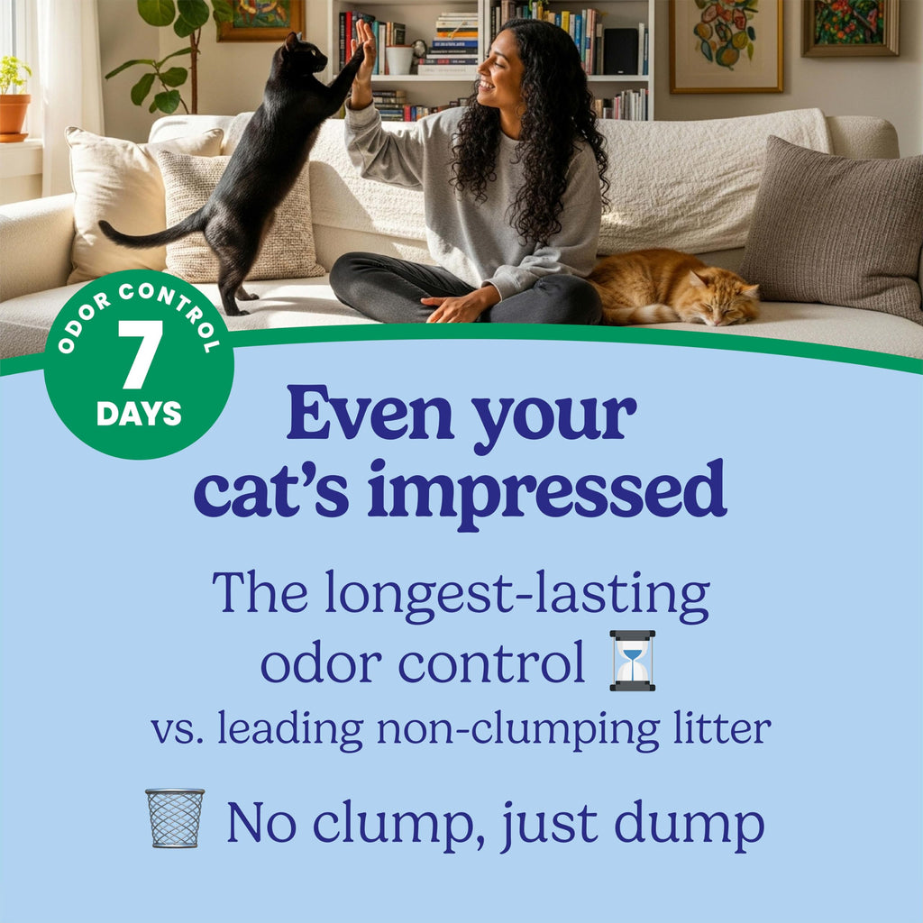 Non-Clumping Cat Litter with Odor Control, 35 lb. Bag S510850