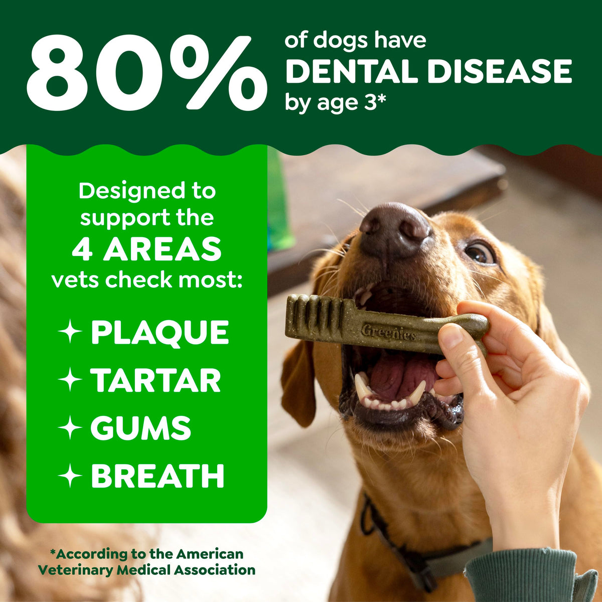 Large Natural Dental Dog Treats, 24 Count U5286