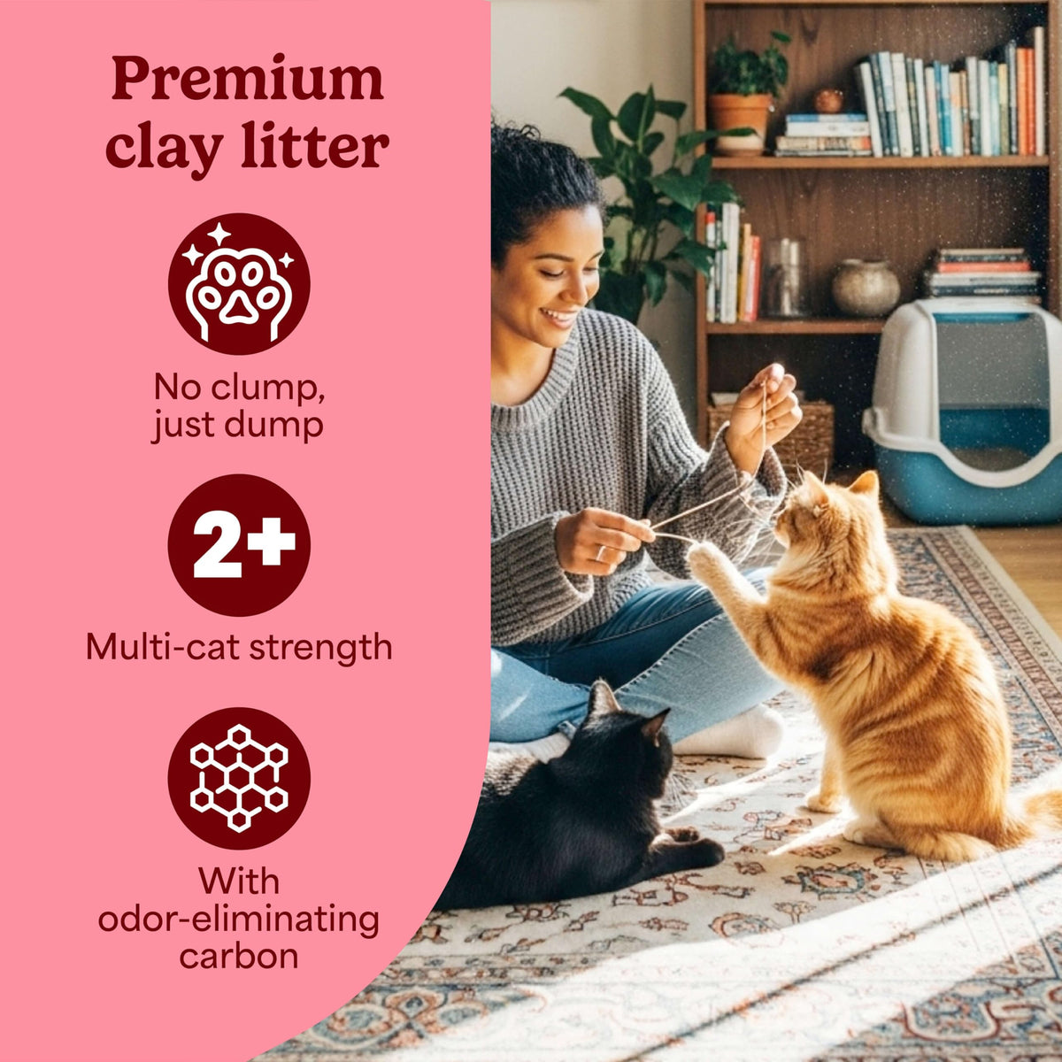 Non-Clumping Cat Litter with Odor Control, 35 lb. Bag S510850