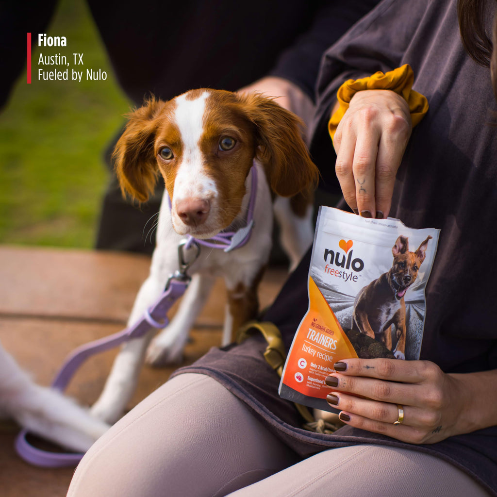 Turkey Recipe Grain-Free Low-Calorie Dog & Puppy Training Treats, 16 Ounce Pouch L878933