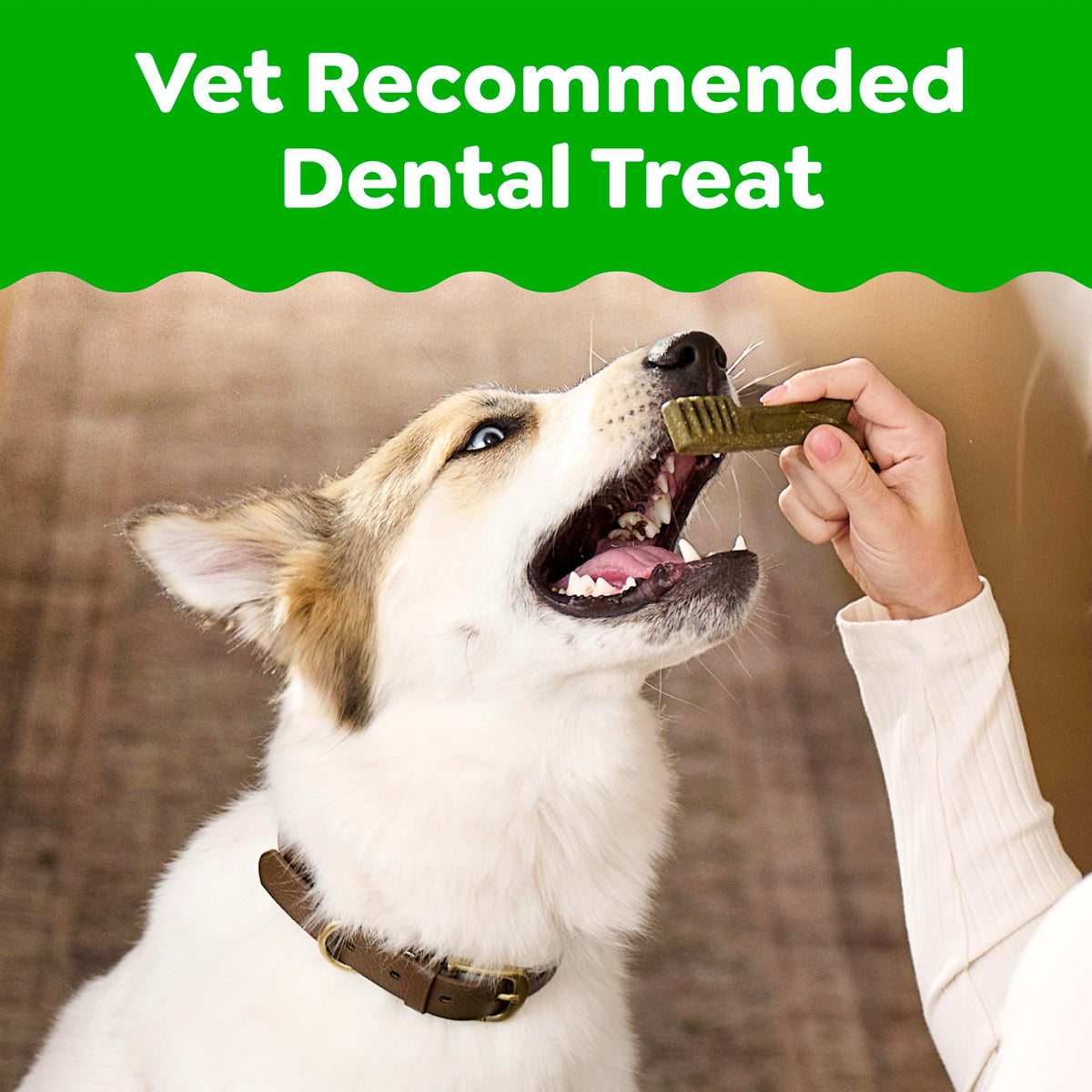 Large Natural Dental Dog Treats, 24 Count U5286