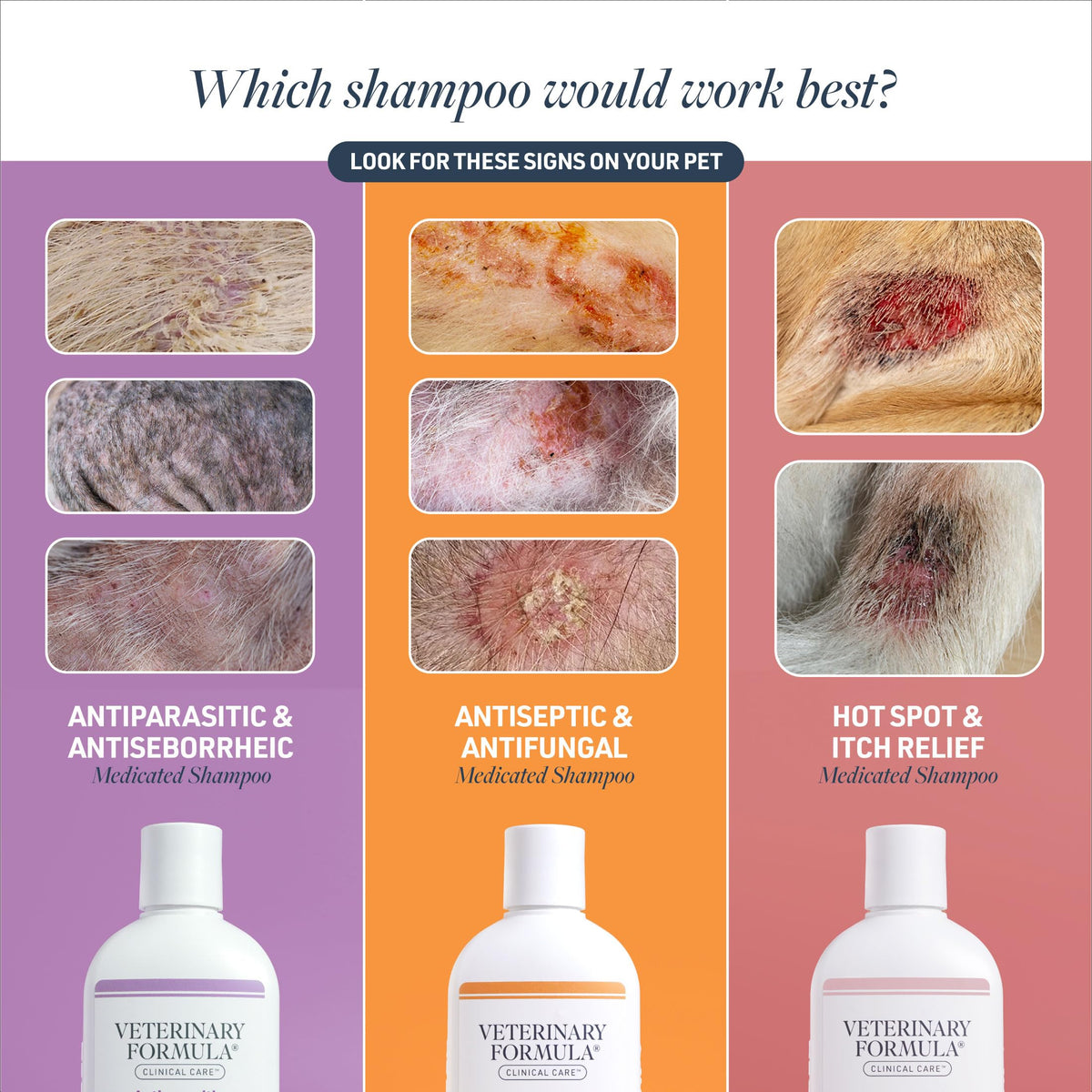 Antiseptic & Antifungal Shampoo, 16 oz Q68555