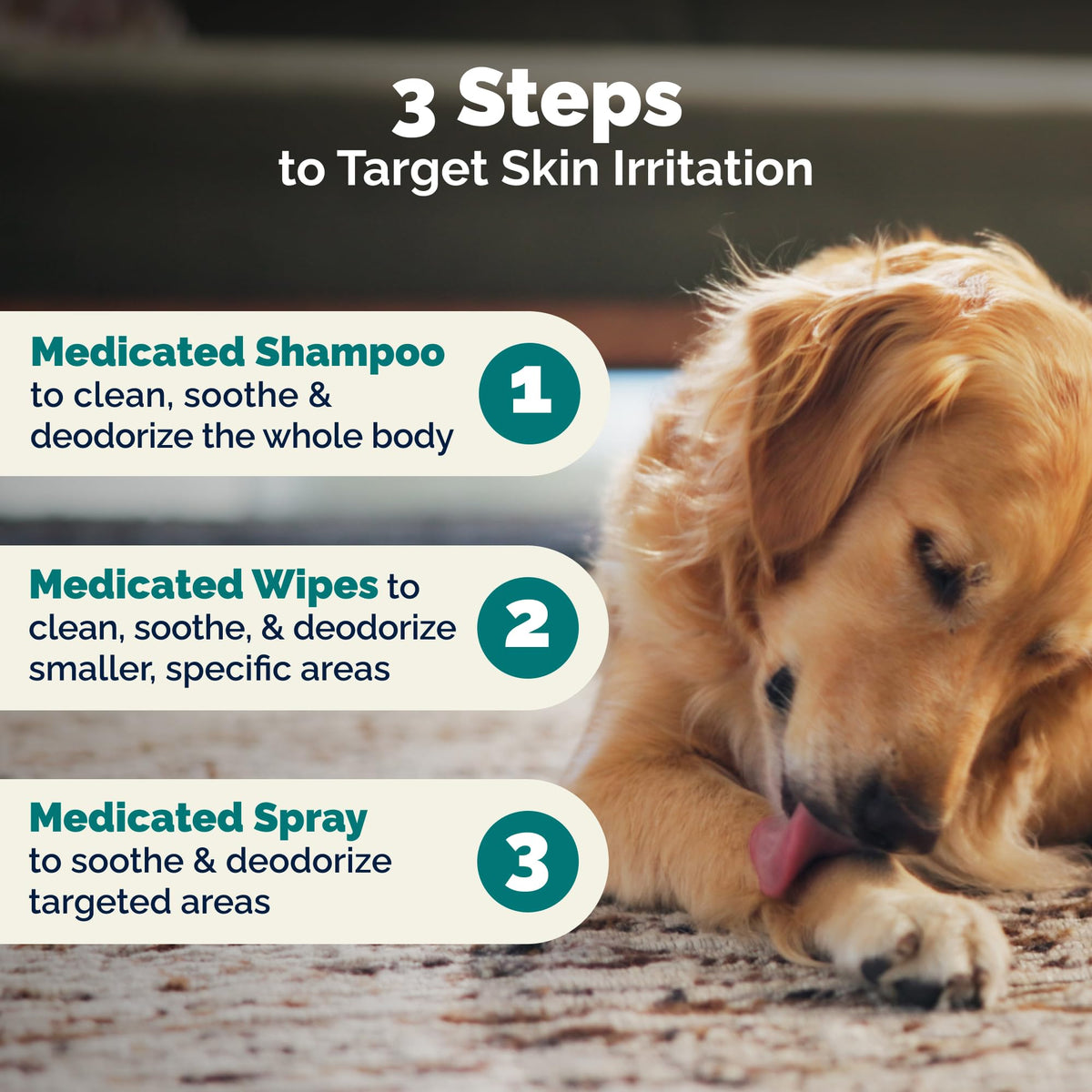Medicated Cat & Dog Shampoo E37128
