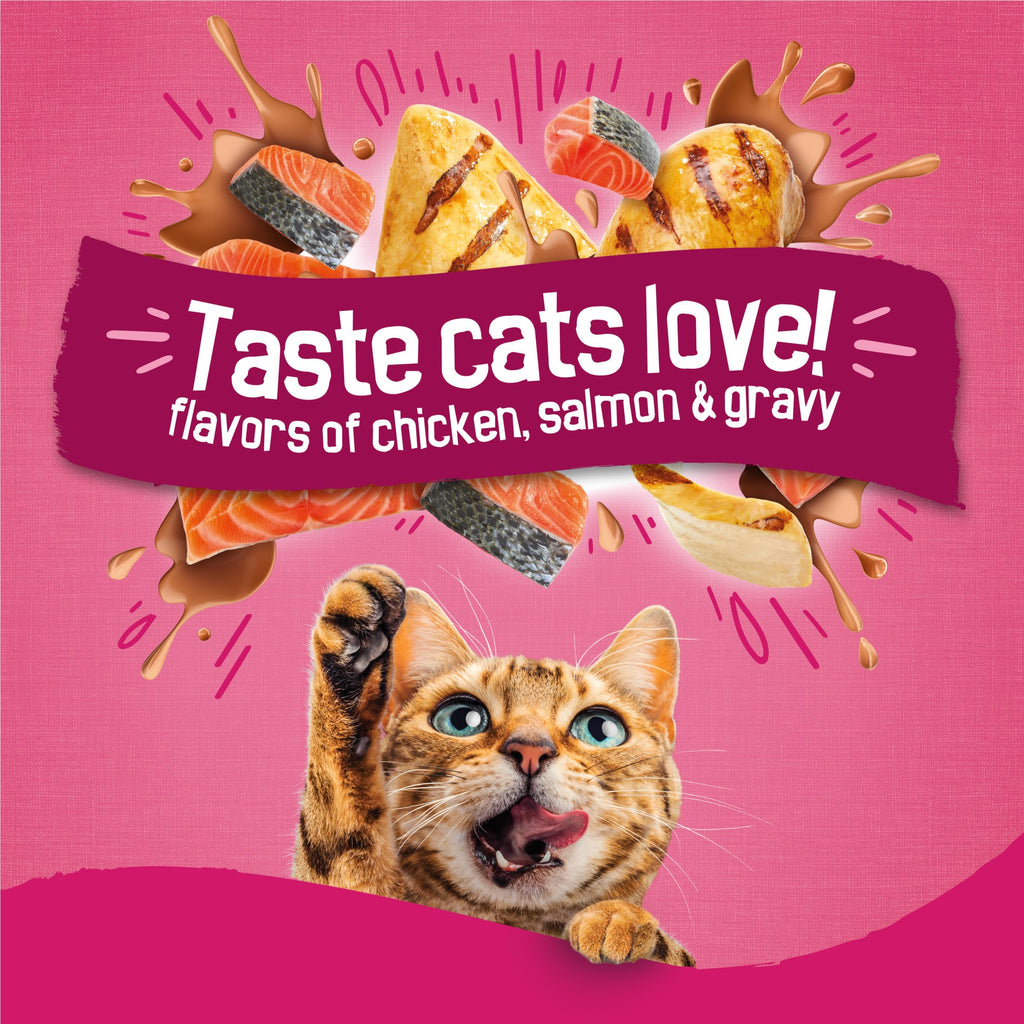 Dry Cat Food, Chicken & Salmon, 22 lb Bag M288972