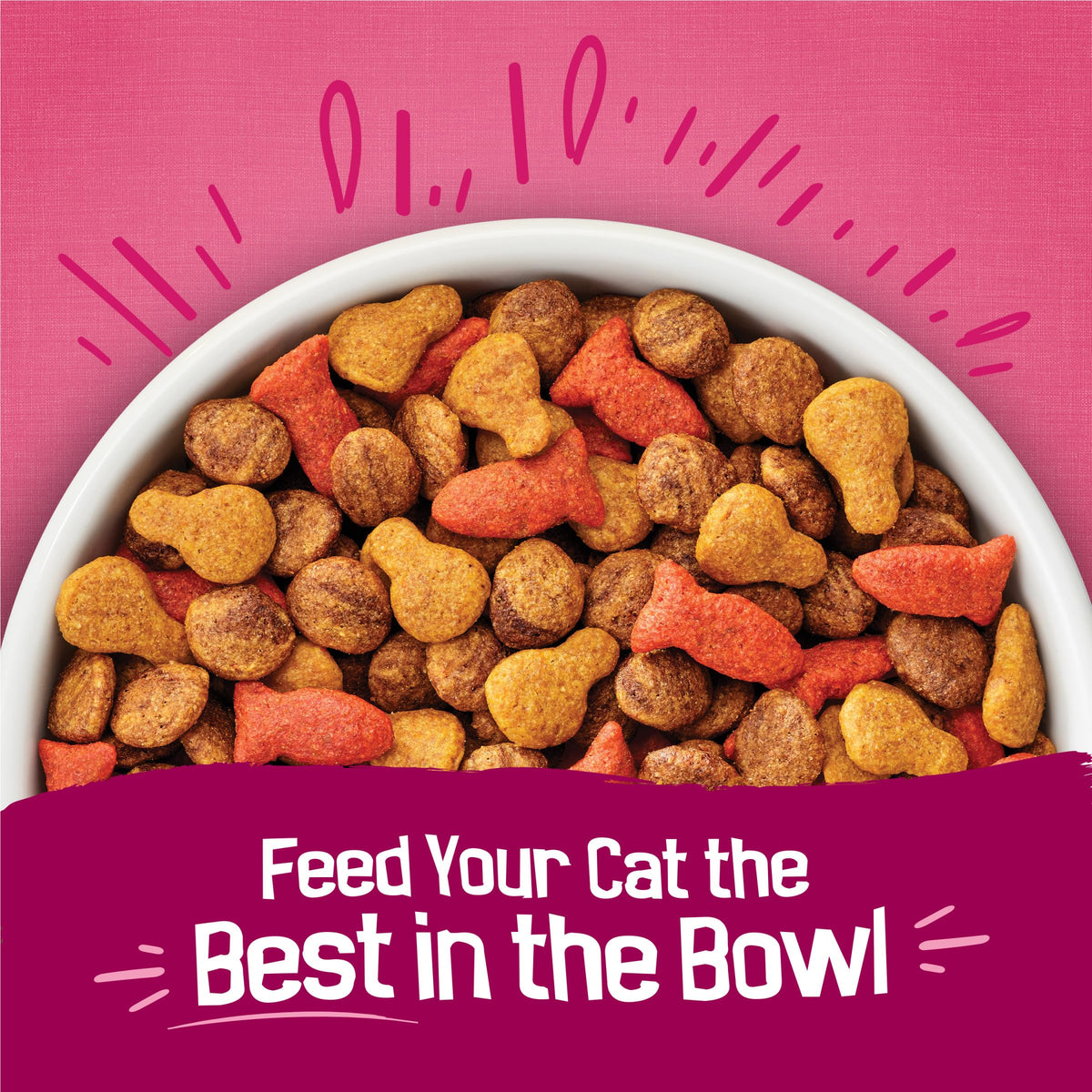 Dry Cat Food, Chicken & Salmon, 22 lb Bag M288972