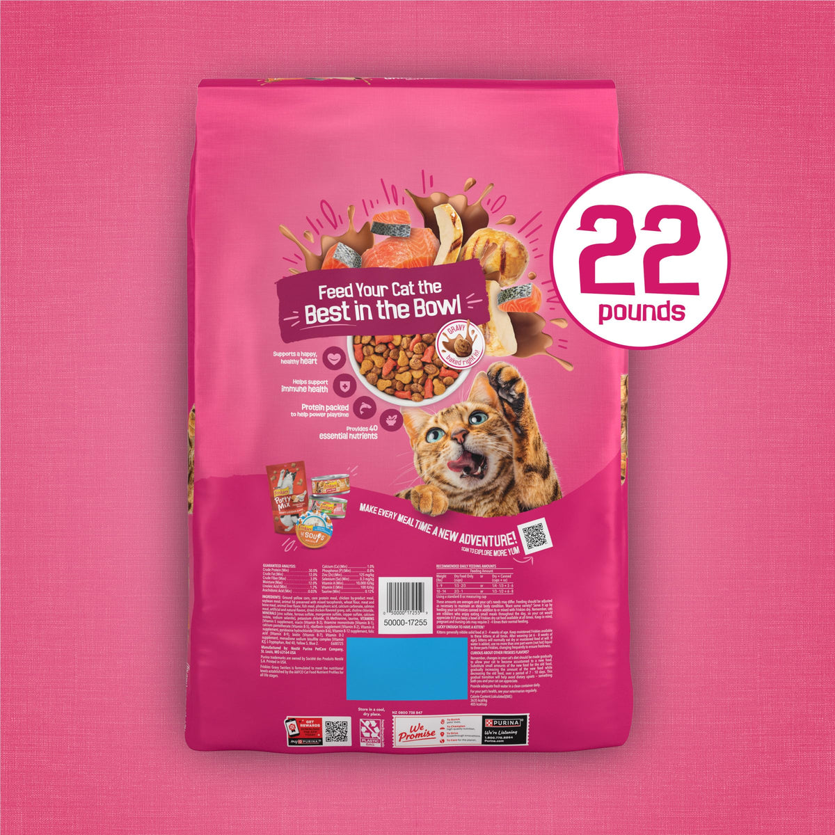 Dry Cat Food, Chicken & Salmon, 22 lb Bag M288972