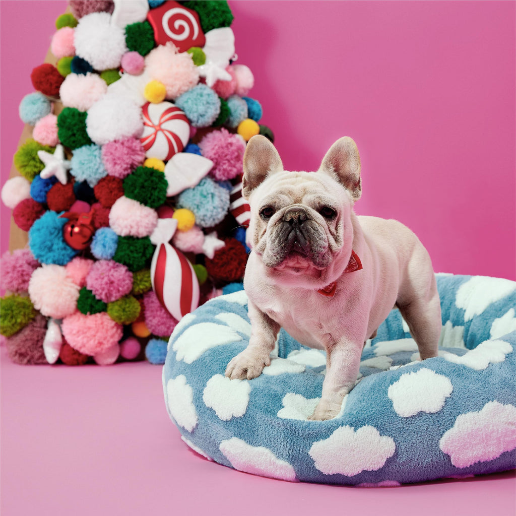 Blue 30x30x8in Dog Bed A77237