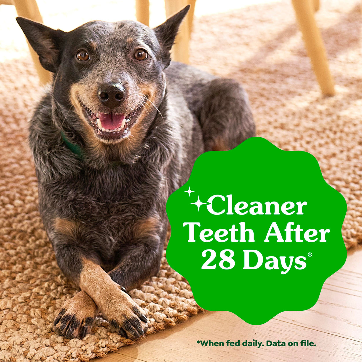 Large Natural Dental Dog Treats, 24 Count U5286